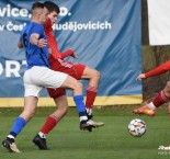 4. liga: TJ Hluboká n. Vlt. - SK Petřín Plzeň B 2:0